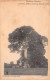 Afrique - Dahomey - Résidence D'ABOMEY - L'arbre Du Général Doods (40 Mètres De Hauteur) - Précurseur - Dahomey