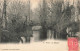 FRANCE - Pons - La Seugne - Carte Postale Ancienne - Pons