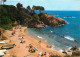 Espagne - Espana - Cataluna - Costa Brava - Playa De Aro - Cala Del Pi - Playa - Plage - CPM - Voir Scans Recto-Verso - Gerona