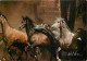 Format Spécial - 170 X 120 Mms - Animaux - Chevaux - Photo Robert Vavra - Chevaux Au Galop - Frais Spécifique En Raison  - Paarden