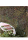 Art - Peinture - Claude Monet - La Barque - Carte Neuve - CPM - Voir Scans Recto-Verso - Pittura & Quadri