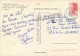 14 - Cabourg - Multivues - Femmes Nues - Nu - Blasons - CPM - Voir Scans Recto-Verso - Cabourg