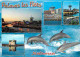 Animaux - Dauphins - CPM - Voir Scans Recto-Verso - Delphine