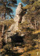 12 - Montpellier Le Vieux - Chaos Dolomitique - La Grotte De Baume-Obscure - CPM - Voir Scans Recto-Verso - Autres & Non Classés