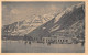 CHAMONIX-MONT-BLANC - Lot De 14 Cartes - Sport D'hivers, Ski, Patinage, Luge, Hockey-sur-Glace, Patinoire, Palace, Rue - Chamonix-Mont-Blanc