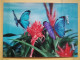 KOV 506-27 - BUTTERFLY, PAPILLON, 3D - Papillons
