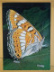 KOV 506-27 - BUTTERFLY, PAPILLON, PAPPELBLATTERN - Butterflies