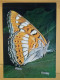 KOV 506-27 - BUTTERFLY, PAPILLON, PAPPELBLATTERN - Vlinders