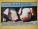 KOV 506-25 - PIG, PORC,  - Schweine