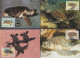 WWF 2004, Anguilla (UK EIIR) Series "Sea Turtle", Series UM + FDC + Maximum Cards, Rare - Sonstige & Ohne Zuordnung