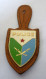 INSIGNE DE POLICE DJIBOUTI - DRAGO PARIS - Policia