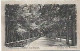 Portugal ** & Postal, Pedras Salgadas, Avenida Das Nascentes (688888) - Vila Real