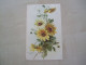 Carte Postale Ancienne CATHARINA KLEIN Marguerites - Klein, Catharina