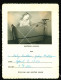 Orig. XL Foto Portrait Süßes Mädchen 1950 Moderner Kinderwagen, Cute Girl 1950 In A Modern Stroller, Typical US 50s - Anonymous Persons