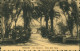 Cartoline Palermo Palermo (Palermu) Orto Botanico Viale Delle Palme 1922 - Autres & Non Classés