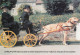 ¤¤  -   LE MOLAY-LITTRY   -  Lot De 6 Cartes D'Attelage De Chiens  -  Voiture à Chien     -  ¤¤ - Sonstige & Ohne Zuordnung