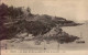 PORNIC  ( LOIRE ATLANTIQUE )    LOT DE 2 CARTES  .  LE CHATEAU . LES ROCHERS DE L ' ANSE AU LAPIN ET LA POINTE GOURMALON - Pornic