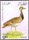 Algérie (Rep) Poste N** Yv: 772/775 Protection Nature Oiseaux - Algerien (1962-...)