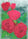 FLORES Vintage Tarjeta Postal CPSM #PAR739.A - Flowers