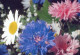 FLOWERS Vintage Ansichtskarte Postkarte CPSM #PAR677.A - Flowers