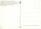 FLORES Vintage Tarjeta Postal CPSM #PAR414.A - Fleurs
