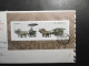 China VR Mi. Block 52 + Bedarfsbrief(22x11,5cm) Faltbug Im Rand 1990 Nach Deutschland Befördert - Cartas & Documentos