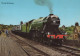 TRENO TRASPORTO FERROVIARIO Vintage Cartolina CPSM #PAA686.A - Eisenbahnen