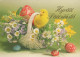 PASCUA POLLO HUEVO Vintage Tarjeta Postal CPSM #PBP088.A - Ostern