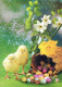 PASQUA POLLO UOVO Vintage Cartolina CPSM #PBO838.A - Easter