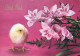 OSTERN HUHN Vintage Ansichtskarte Postkarte CPSM #PBO875.A - Easter
