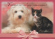 DOG Animals Vintage Postcard CPSM #PAN487.A - Cani