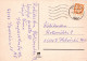 VOGEL Tier Vintage Ansichtskarte Postkarte CPSM #PAN246.A - Oiseaux