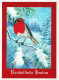 BIRD Animals Vintage Postcard CPSM #PAN042.A - Birds