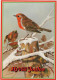 PÁJARO Animales Vintage Tarjeta Postal CPSM #PAN018.A - Vögel