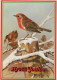 PÁJARO Animales Vintage Tarjeta Postal CPSM #PAN018.A - Birds