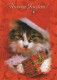 KATZE MIEZEKATZE Tier Vintage Ansichtskarte Postkarte CPSM #PAM575.A - Katzen