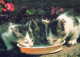 CAT KITTY Animals Vintage Postcard CPSM #PAM391.A - Chats