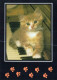 KATZE MIEZEKATZE Tier Vintage Ansichtskarte Postkarte CPSM #PAM220.A - Cats