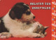 DOG AND CAT Animals Vintage Postcard CPSM #PAM051.A - Cani
