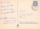 PERRO Animales Vintage Tarjeta Postal CPSM #PAN653.A - Honden