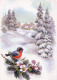 Feliz Año Navidad PÁJARO Vintage Tarjeta Postal CPSM #PBM630.A - Neujahr