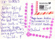 MARIPOSAS Animales Vintage Tarjeta Postal CPSM #PBS446.A - Mariposas