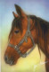 CAVALLO Animale Vintage Cartolina CPSM #PBR956.A - Horses