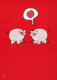 PIGS Animals Vintage Postcard CPSM #PBR779.A - Pigs