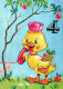OISEAU Animaux Vintage Carte Postale CPSM #PBR602.A - Oiseaux