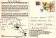 OISEAU Animaux Vintage Carte Postale CPSM #PBR382.A - Oiseaux