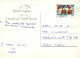 KATZE MIEZEKATZE Tier Vintage Ansichtskarte Postkarte CPSM #PBQ787.A - Chats