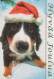 PERRO Animales Vintage Tarjeta Postal CPSM #PBQ659.A - Dogs