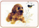 DOG Animals Vintage Postcard CPSM #PBQ423.A - Honden