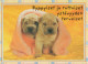 HUND Tier Vintage Ansichtskarte Postkarte CPSM #PBQ407.A - Hunde